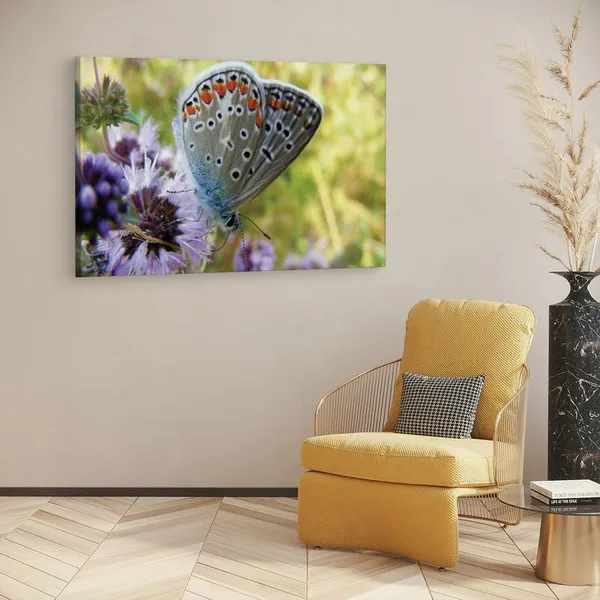 Multicolor_16_X_24_Inch,_Pine_Wood_Framed_Canvas_Paintings_|_For_Home_Decor,_Ready_To_Wall_Hanging,_Premium_Painting_|_For_|_Bedroom,_Living_Room,_Office_Wall_Decoration_|_Wall_Art_Painting,_Ct2273