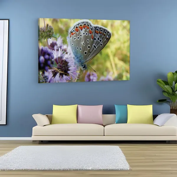Multicolor_16_X_24_Inch,_Pine_Wood_Framed_Canvas_Paintings_|_For_Home_Decor,_Ready_To_Wall_Hanging,_Premium_Painting_|_For_|_Bedroom,_Living_Room,_Office_Wall_Decoration_|_Wall_Art_Painting,_Ct2273