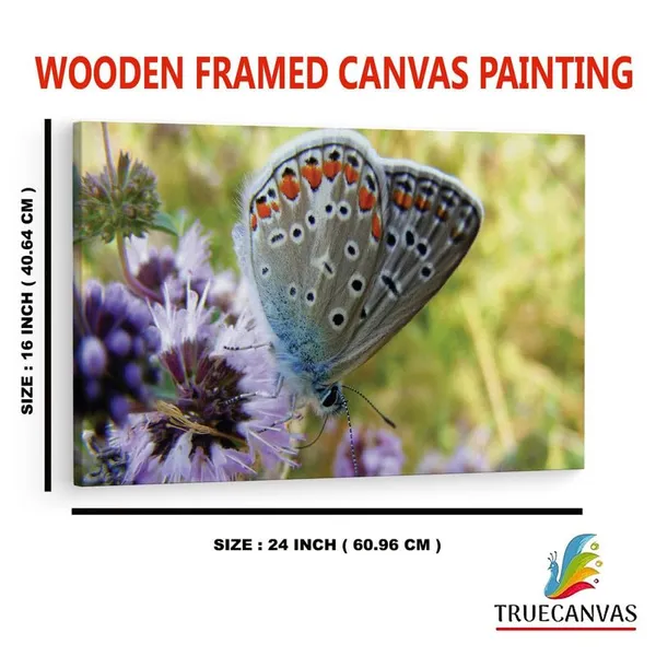 Multicolor_16_X_24_Inch,_Pine_Wood_Framed_Canvas_Paintings_|_For_Home_Decor,_Ready_To_Wall_Hanging,_Premium_Painting_|_For_|_Bedroom,_Living_Room,_Office_Wall_Decoration_|_Wall_Art_Painting,_Ct2273