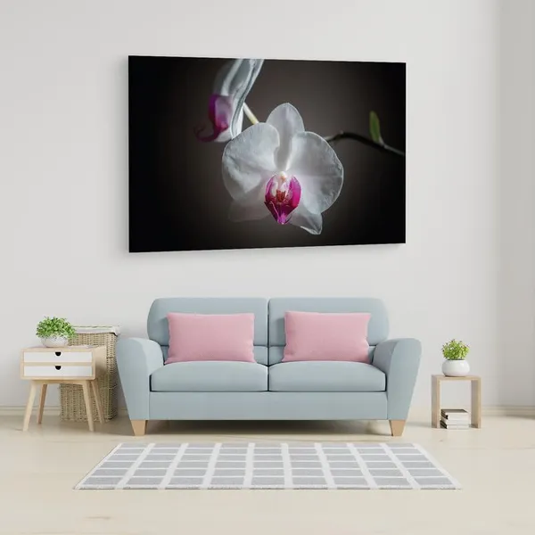 Multicolor_16_X_24_Inch,_Pine_Wood_Framed_Canvas_Paintings_|_For_Home_Decor,_Ready_To_Wall_Hanging,_Premium_Painting_|_For_|_Bedroom,_Living_Room,_Office_Wall_Decoration_|_Wall_Art_Painting,_Ct2274
