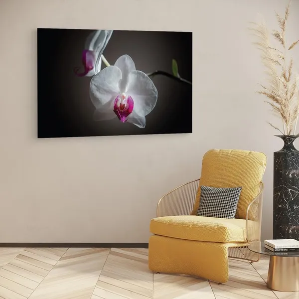 Multicolor_16_X_24_Inch,_Pine_Wood_Framed_Canvas_Paintings_|_For_Home_Decor,_Ready_To_Wall_Hanging,_Premium_Painting_|_For_|_Bedroom,_Living_Room,_Office_Wall_Decoration_|_Wall_Art_Painting,_Ct2274
