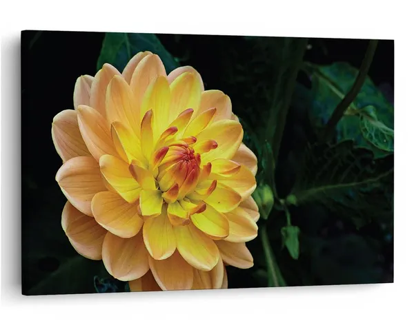 Multicolor_16_X_24_Inch,_Pine_Wood_Framed_Canvas_Paintings_|_For_Home_Decor,_Ready_To_Wall_Hanging,_Premium_Painting_|_For_|_Bedroom,_Living_Room,_Office_Wall_Decoration_|_Wall_Art_Painting,_Ct2275