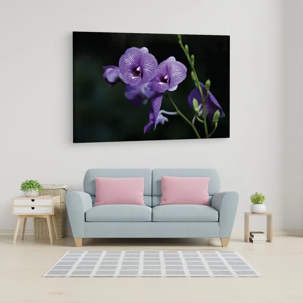 Multicolor_16_X_24_Inch,_Pine_Wood_Framed_Canvas_Paintings_|_For_Home_Decor,_Ready_To_Wall_Hanging,_Premium_Painting_|_For_|_Bedroom,_Living_Room,_Office_Wall_Decoration_|_Wall_Art_Painting,_Ct2276