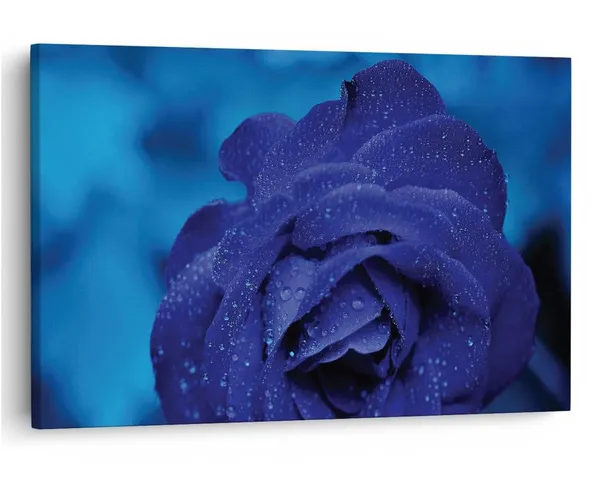 Multicolor_16_X_24_Inch,_Pine_Wood_Framed_Canvas_Paintings_|_For_Home_Decor,_Ready_To_Wall_Hanging,_Premium_Painting_|_For_|_Bedroom,_Living_Room,_Office_Wall_Decoration_|_Wall_Art_Painting,_Ct2279