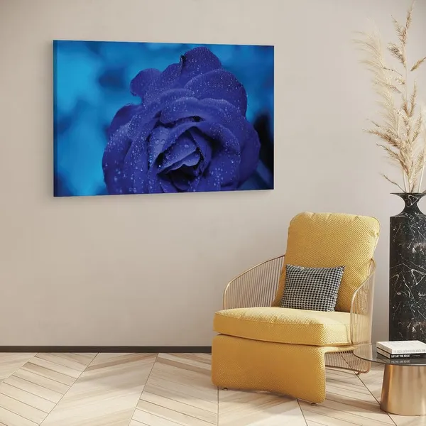 Multicolor_16_X_24_Inch,_Pine_Wood_Framed_Canvas_Paintings_|_For_Home_Decor,_Ready_To_Wall_Hanging,_Premium_Painting_|_For_|_Bedroom,_Living_Room,_Office_Wall_Decoration_|_Wall_Art_Painting,_Ct2279