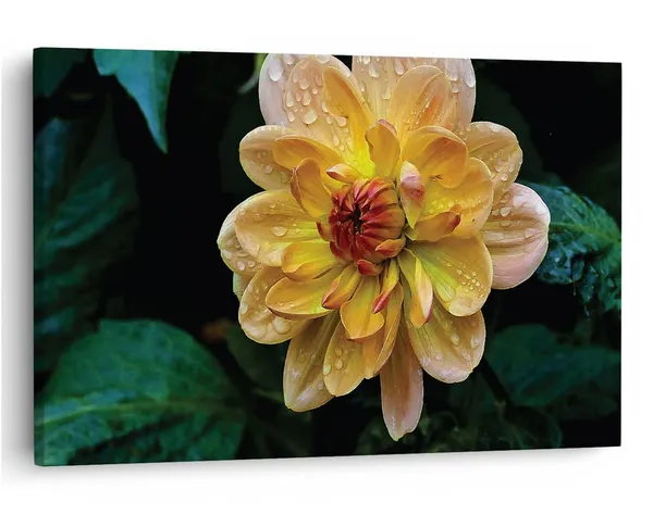Multicolor_16_X_24_Inch,_Pine_Wood_Framed_Canvas_Paintings_|_For_Home_Decor,_Ready_To_Wall_Hanging,_Premium_Painting_|_For_|_Bedroom,_Living_Room,_Office_Wall_Decoration_|_Wall_Art_Painting,_Ct2280