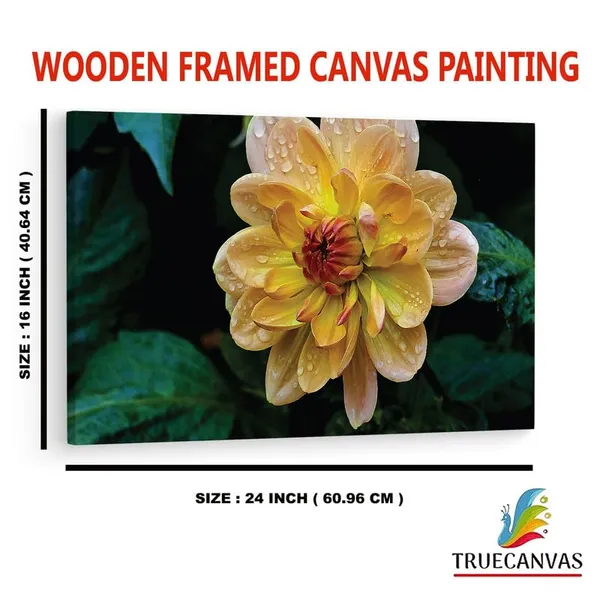 Multicolor_16_X_24_Inch,_Pine_Wood_Framed_Canvas_Paintings_|_For_Home_Decor,_Ready_To_Wall_Hanging,_Premium_Painting_|_For_|_Bedroom,_Living_Room,_Office_Wall_Decoration_|_Wall_Art_Painting,_Ct2280