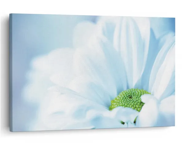 Multicolor_16_X_24_Inch,_Pine_Wood_Framed_Canvas_Paintings_|_For_Home_Decor,_Ready_To_Wall_Hanging,_Premium_Painting_|_For_|_Bedroom,_Living_Room,_Office_Wall_Decoration_|_Wall_Art_Painting,_Ct2281
