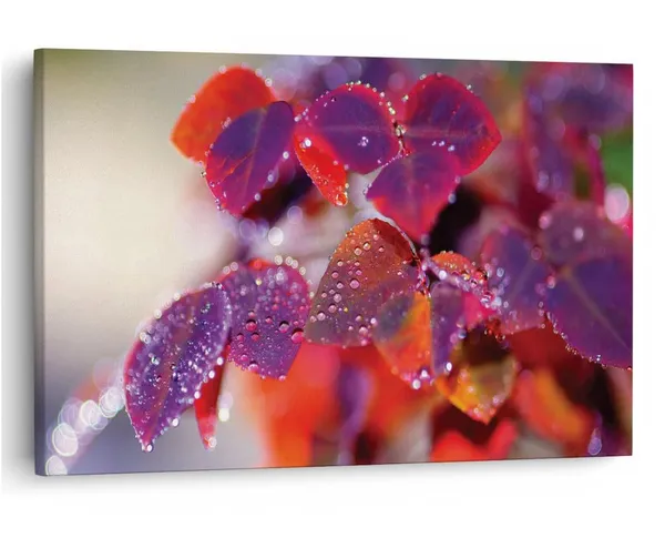 Multicolor_16_X_24_Inch,_Pine_Wood_Framed_Canvas_Paintings_|_For_Home_Decor,_Ready_To_Wall_Hanging,_Premium_Painting_|_For_|_Bedroom,_Living_Room,_Office_Wall_Decoration_|_Wall_Art_Painting,_Ct2283
