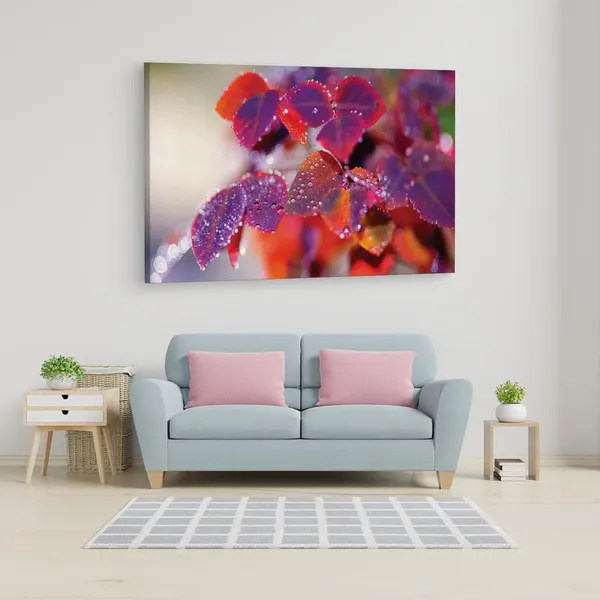 Multicolor_16_X_24_Inch,_Pine_Wood_Framed_Canvas_Paintings_|_For_Home_Decor,_Ready_To_Wall_Hanging,_Premium_Painting_|_For_|_Bedroom,_Living_Room,_Office_Wall_Decoration_|_Wall_Art_Painting,_Ct2283