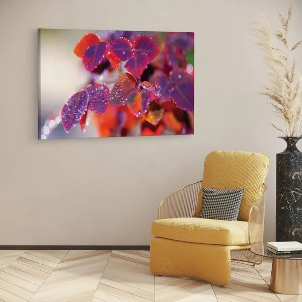 Multicolor_16_X_24_Inch,_Pine_Wood_Framed_Canvas_Paintings_|_For_Home_Decor,_Ready_To_Wall_Hanging,_Premium_Painting_|_For_|_Bedroom,_Living_Room,_Office_Wall_Decoration_|_Wall_Art_Painting,_Ct2283