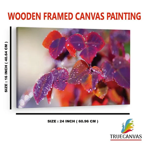 Multicolor_16_X_24_Inch,_Pine_Wood_Framed_Canvas_Paintings_|_For_Home_Decor,_Ready_To_Wall_Hanging,_Premium_Painting_|_For_|_Bedroom,_Living_Room,_Office_Wall_Decoration_|_Wall_Art_Painting,_Ct2283