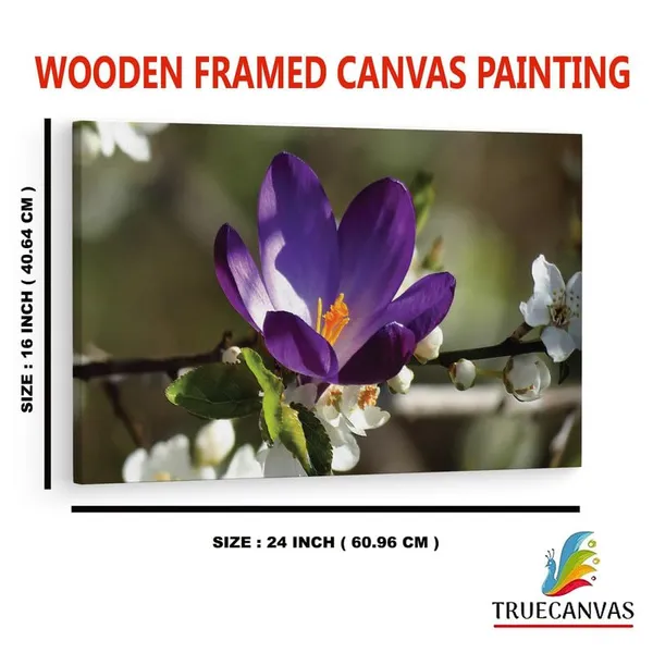 Multicolor_16_X_24_Inch,_Pine_Wood_Framed_Canvas_Paintings_|_For_Home_Decor,_Ready_To_Wall_Hanging,_Premium_Painting_|_For_|_Bedroom,_Living_Room,_Office_Wall_Decoration_|_Wall_Art_Painting,_Ct2285