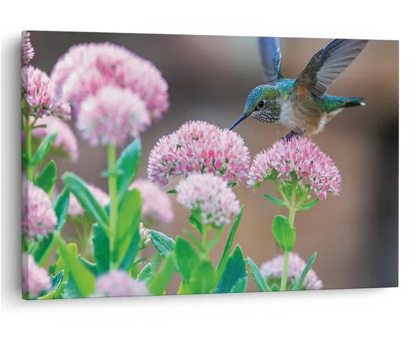 Multicolor_16_X_24_Inch,_Pine_Wood_Framed_Canvas_Paintings_|_For_Home_Decor,_Ready_To_Wall_Hanging,_Premium_Painting_|_For_|_Bedroom,_Living_Room,_Office_Wall_Decoration_|_Wall_Art_Painting,_Ct2286