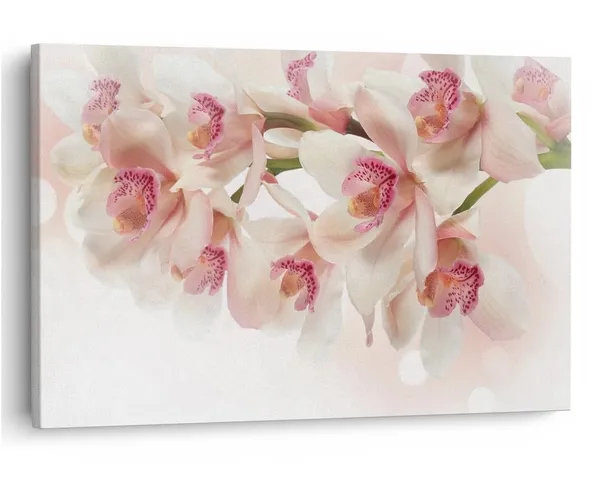 Multicolor_16_X_24_Inch,_Pine_Wood_Framed_Canvas_Paintings_|_For_Home_Decor,_Ready_To_Wall_Hanging,_Premium_Painting_|_For_|_Bedroom,_Living_Room,_Office_Wall_Decoration_|_Wall_Art_Painting,_Ct2287