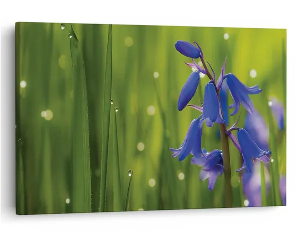 Multicolor_16_X_24_Inch,_Pine_Wood_Framed_Canvas_Paintings_|_For_Home_Decor,_Ready_To_Wall_Hanging,_Premium_Painting_|_For_|_Bedroom,_Living_Room,_Office_Wall_Decoration_|_Wall_Art_Painting,_Ct2291