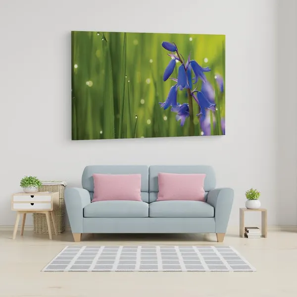 Multicolor_16_X_24_Inch,_Pine_Wood_Framed_Canvas_Paintings_|_For_Home_Decor,_Ready_To_Wall_Hanging,_Premium_Painting_|_For_|_Bedroom,_Living_Room,_Office_Wall_Decoration_|_Wall_Art_Painting,_Ct2291
