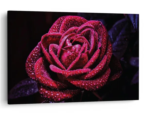 Multicolor_16_X_24_Inch,_Pine_Wood_Framed_Canvas_Paintings_|_For_Home_Decor,_Ready_To_Wall_Hanging,_Premium_Painting_|_For_|_Bedroom,_Living_Room,_Office_Wall_Decoration_|_Wall_Art_Painting,_Ct2292