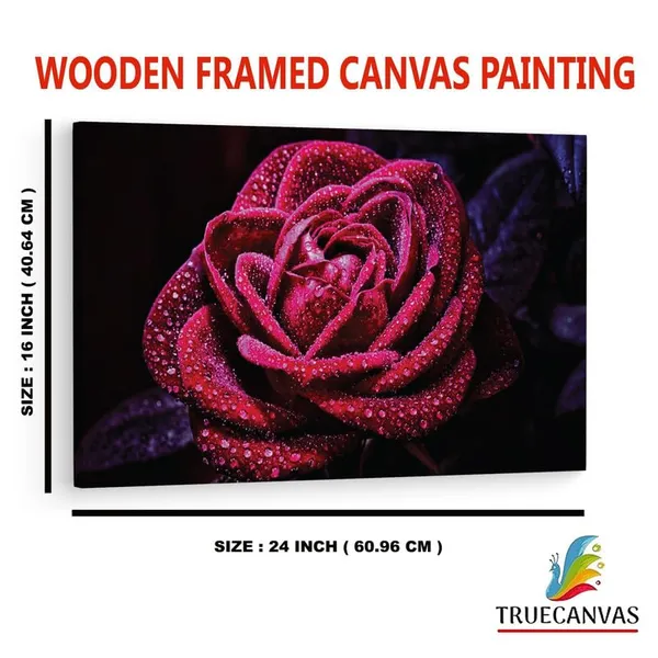 Multicolor_16_X_24_Inch,_Pine_Wood_Framed_Canvas_Paintings_|_For_Home_Decor,_Ready_To_Wall_Hanging,_Premium_Painting_|_For_|_Bedroom,_Living_Room,_Office_Wall_Decoration_|_Wall_Art_Painting,_Ct2292