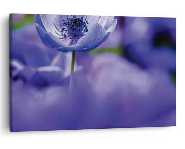 Multicolor_16_X_24_Inch,_Pine_Wood_Framed_Canvas_Paintings_|_For_Home_Decor,_Ready_To_Wall_Hanging,_Premium_Painting_|_For_|_Bedroom,_Living_Room,_Office_Wall_Decoration_|_Wall_Art_Painting,_Ct2293