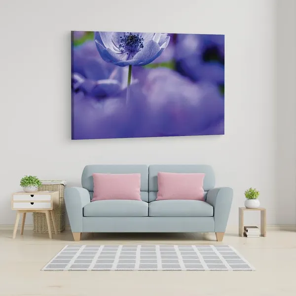 Multicolor_16_X_24_Inch,_Pine_Wood_Framed_Canvas_Paintings_|_For_Home_Decor,_Ready_To_Wall_Hanging,_Premium_Painting_|_For_|_Bedroom,_Living_Room,_Office_Wall_Decoration_|_Wall_Art_Painting,_Ct2293