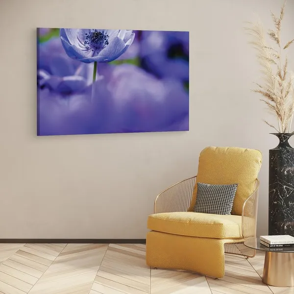 Multicolor_16_X_24_Inch,_Pine_Wood_Framed_Canvas_Paintings_|_For_Home_Decor,_Ready_To_Wall_Hanging,_Premium_Painting_|_For_|_Bedroom,_Living_Room,_Office_Wall_Decoration_|_Wall_Art_Painting,_Ct2293
