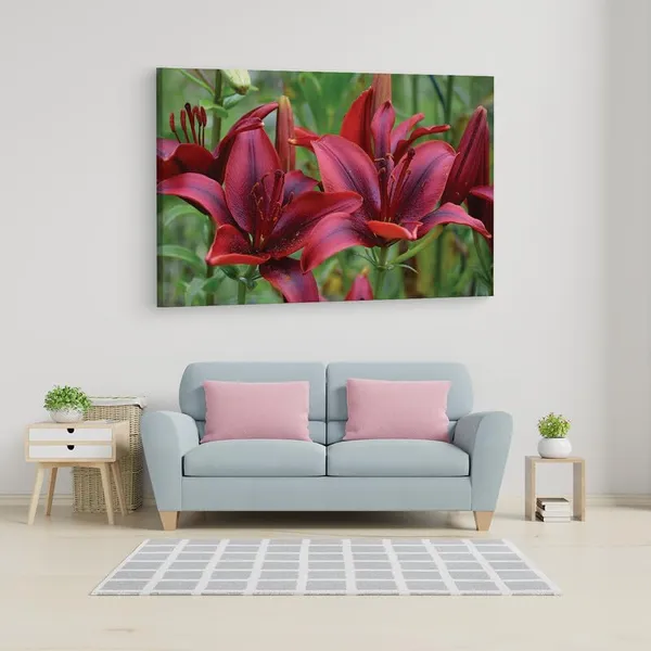 Multicolor_16_X_24_Inch,_Pine_Wood_Framed_Canvas_Paintings_|_For_Home_Decor,_Ready_To_Wall_Hanging,_Premium_Painting_|_For_|_Bedroom,_Living_Room,_Office_Wall_Decoration_|_Wall_Art_Painting,_Ct2297