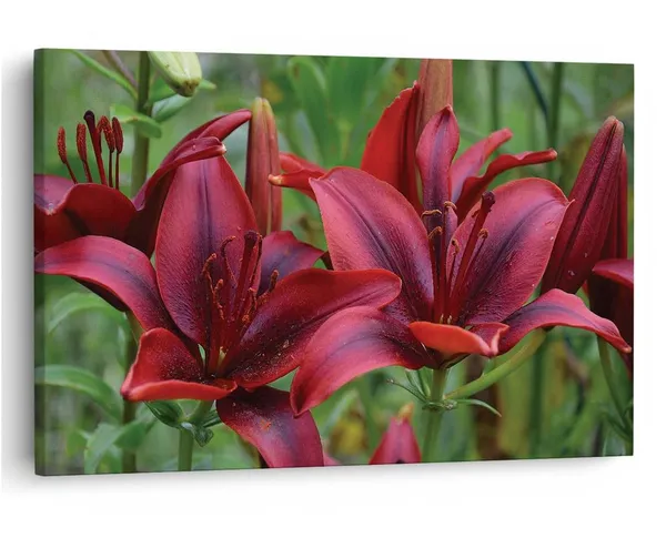 Multicolor_16_X_24_Inch,_Pine_Wood_Framed_Canvas_Paintings_|_For_Home_Decor,_Ready_To_Wall_Hanging,_Premium_Painting_|_For_|_Bedroom,_Living_Room,_Office_Wall_Decoration_|_Wall_Art_Painting,_Ct2297
