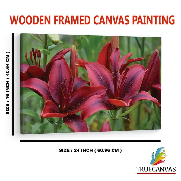 Multicolor_16_X_24_Inch,_Pine_Wood_Framed_Canvas_Paintings_|_For_Home_Decor,_Ready_To_Wall_Hanging,_Premium_Painting_|_For_|_Bedroom,_Living_Room,_Office_Wall_Decoration_|_Wall_Art_Painting,_Ct2297