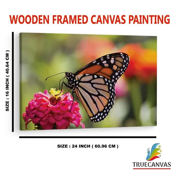 Multicolor_16_X_24_Inch,_Pine_Wood_Framed_Canvas_Paintings_|_For_Home_Decor,_Ready_To_Wall_Hanging,_Premium_Painting_|_For_|_Bedroom,_Living_Room,_Office_Wall_Decoration_|_Wall_Art_Painting,_Ct2300
