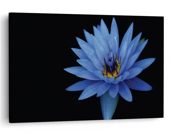 Multicolor_16_X_24_Inch,_Pine_Wood_Framed_Canvas_Paintings_|_For_Home_Decor,_Ready_To_Wall_Hanging,_Premium_Painting_|_For_|_Bedroom,_Living_Room,_Office_Wall_Decoration_|_Wall_Art_Painting,_Ct2301