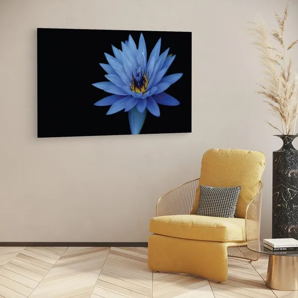 Multicolor_16_X_24_Inch,_Pine_Wood_Framed_Canvas_Paintings_|_For_Home_Decor,_Ready_To_Wall_Hanging,_Premium_Painting_|_For_|_Bedroom,_Living_Room,_Office_Wall_Decoration_|_Wall_Art_Painting,_Ct2301