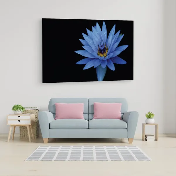 Multicolor_16_X_24_Inch,_Pine_Wood_Framed_Canvas_Paintings_|_For_Home_Decor,_Ready_To_Wall_Hanging,_Premium_Painting_|_For_|_Bedroom,_Living_Room,_Office_Wall_Decoration_|_Wall_Art_Painting,_Ct2301