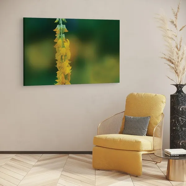 Multicolor_16_X_24_Inch,_Pine_Wood_Framed_Canvas_Paintings_|_For_Home_Decor,_Ready_To_Wall_Hanging,_Premium_Painting_|_For_|_Bedroom,_Living_Room,_Office_Wall_Decoration_|_Wall_Art_Painting,_Ct2303