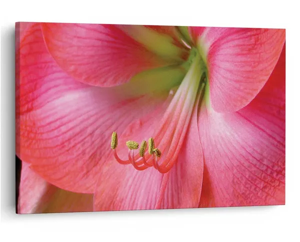 Multicolor_16_X_24_Inch,_Pine_Wood_Framed_Canvas_Paintings_|_For_Home_Decor,_Ready_To_Wall_Hanging,_Premium_Painting_|_For_|_Bedroom,_Living_Room,_Office_Wall_Decoration_|_Wall_Art_Painting,_Ct2304