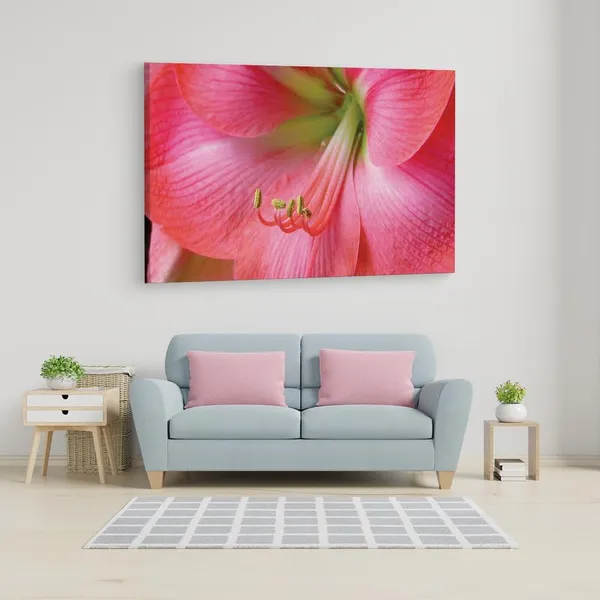 Multicolor_16_X_24_Inch,_Pine_Wood_Framed_Canvas_Paintings_|_For_Home_Decor,_Ready_To_Wall_Hanging,_Premium_Painting_|_For_|_Bedroom,_Living_Room,_Office_Wall_Decoration_|_Wall_Art_Painting,_Ct2304