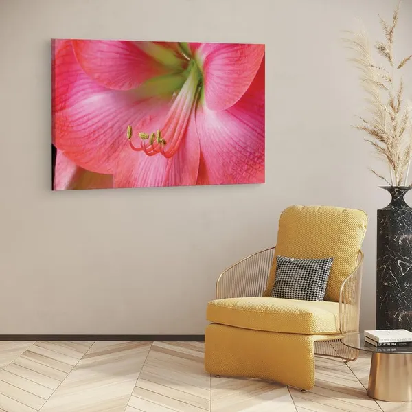 Multicolor_16_X_24_Inch,_Pine_Wood_Framed_Canvas_Paintings_|_For_Home_Decor,_Ready_To_Wall_Hanging,_Premium_Painting_|_For_|_Bedroom,_Living_Room,_Office_Wall_Decoration_|_Wall_Art_Painting,_Ct2304