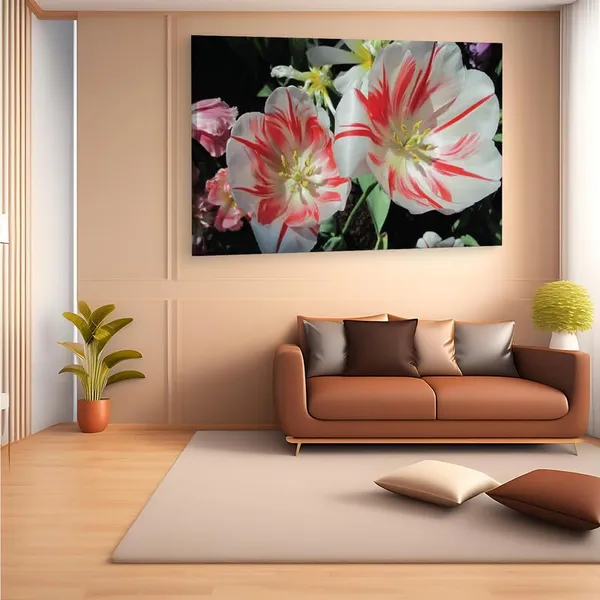 Multicolor_16_X_24_Inch,_Pine_Wood_Framed_Canvas_Paintings_|_For_Home_Decor,_Ready_To_Wall_Hanging,_Premium_Painting_|_For_|_Bedroom,_Living_Room,_Office_Wall_Decoration_|_Wall_Art_Painting,_Ct2305