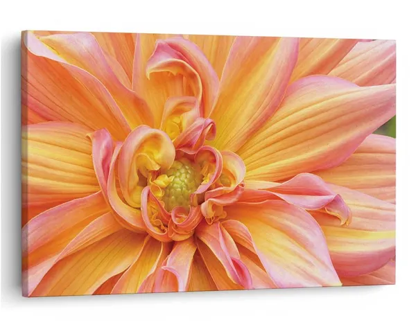 Multicolor_16_X_24_Inch,_Pine_Wood_Framed_Canvas_Paintings_|_For_Home_Decor,_Ready_To_Wall_Hanging,_Premium_Painting_|_For_|_Bedroom,_Living_Room,_Office_Wall_Decoration_|_Wall_Art_Painting,_Ct2306