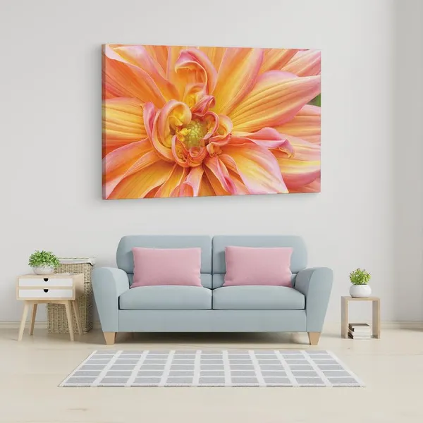 Multicolor_16_X_24_Inch,_Pine_Wood_Framed_Canvas_Paintings_|_For_Home_Decor,_Ready_To_Wall_Hanging,_Premium_Painting_|_For_|_Bedroom,_Living_Room,_Office_Wall_Decoration_|_Wall_Art_Painting,_Ct2306