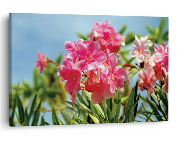 Multicolor_16_X_24_Inch,_Pine_Wood_Framed_Canvas_Paintings_|_For_Home_Decor,_Ready_To_Wall_Hanging,_Premium_Painting_|_For_|_Bedroom,_Living_Room,_Office_Wall_Decoration_|_Wall_Art_Painting,_Ct2307