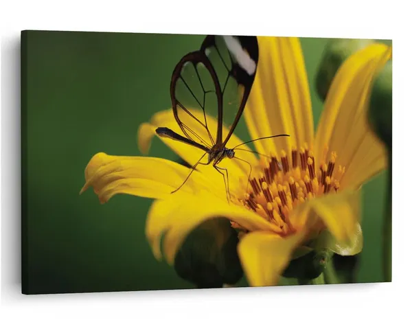 Multicolor_16_X_24_Inch,_Pine_Wood_Framed_Canvas_Paintings_|_For_Home_Decor,_Ready_To_Wall_Hanging,_Premium_Painting_|_For_|_Bedroom,_Living_Room,_Office_Wall_Decoration_|_Wall_Art_Painting,_Ct2308