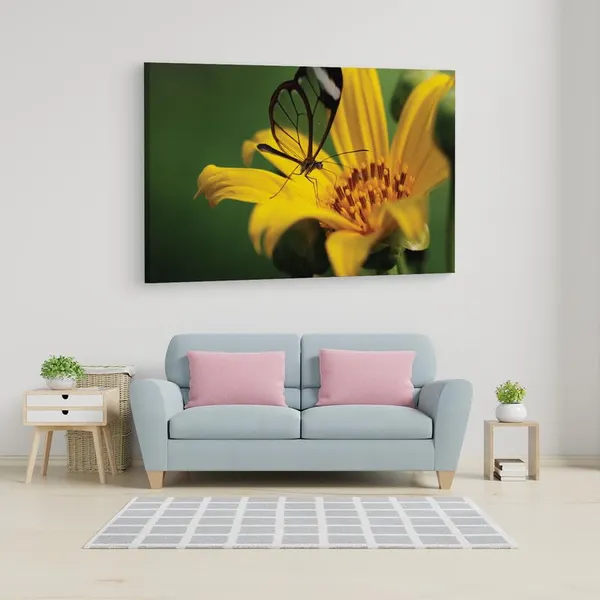 Multicolor_16_X_24_Inch,_Pine_Wood_Framed_Canvas_Paintings_|_For_Home_Decor,_Ready_To_Wall_Hanging,_Premium_Painting_|_For_|_Bedroom,_Living_Room,_Office_Wall_Decoration_|_Wall_Art_Painting,_Ct2308
