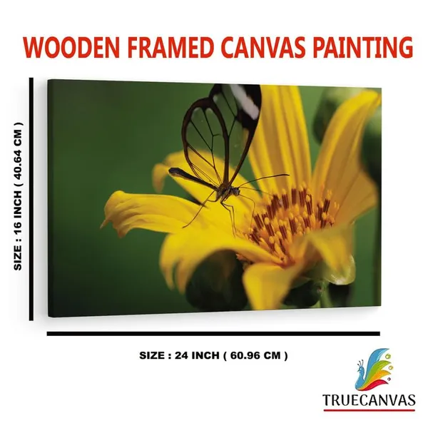 Multicolor_16_X_24_Inch,_Pine_Wood_Framed_Canvas_Paintings_|_For_Home_Decor,_Ready_To_Wall_Hanging,_Premium_Painting_|_For_|_Bedroom,_Living_Room,_Office_Wall_Decoration_|_Wall_Art_Painting,_Ct2308