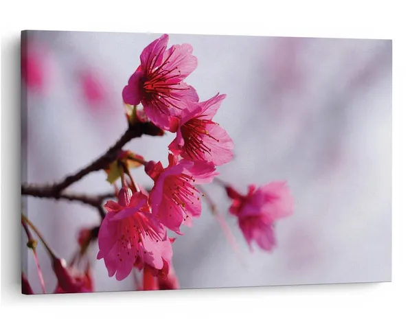 Multicolor_16_X_24_Inch,_Pine_Wood_Framed_Canvas_Paintings_|_For_Home_Decor,_Ready_To_Wall_Hanging,_Premium_Painting_|_For_|_Bedroom,_Living_Room,_Office_Wall_Decoration_|_Wall_Art_Painting,_Ct2309