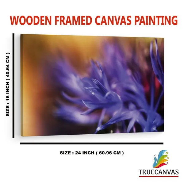 Multicolor_16_X_24_Inch,_Pine_Wood_Framed_Canvas_Paintings_|_For_Home_Decor,_Ready_To_Wall_Hanging,_Premium_Painting_|_For_|_Bedroom,_Living_Room,_Office_Wall_Decoration_|_Wall_Art_Painting,_Ct2311