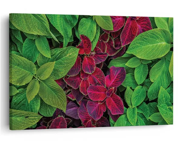 Multicolor_16_X_24_Inch,_Pine_Wood_Framed_Canvas_Paintings_|_For_Home_Decor,_Ready_To_Wall_Hanging,_Premium_Painting_|_For_|_Bedroom,_Living_Room,_Office_Wall_Decoration_|_Wall_Art_Painting,_Ct2312