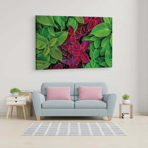 Multicolor_16_X_24_Inch,_Pine_Wood_Framed_Canvas_Paintings_|_For_Home_Decor,_Ready_To_Wall_Hanging,_Premium_Painting_|_For_|_Bedroom,_Living_Room,_Office_Wall_Decoration_|_Wall_Art_Painting,_Ct2312