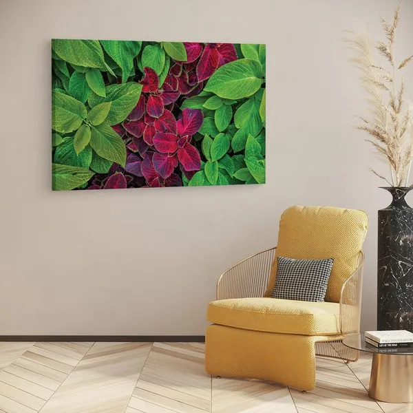 Multicolor_16_X_24_Inch,_Pine_Wood_Framed_Canvas_Paintings_|_For_Home_Decor,_Ready_To_Wall_Hanging,_Premium_Painting_|_For_|_Bedroom,_Living_Room,_Office_Wall_Decoration_|_Wall_Art_Painting,_Ct2312