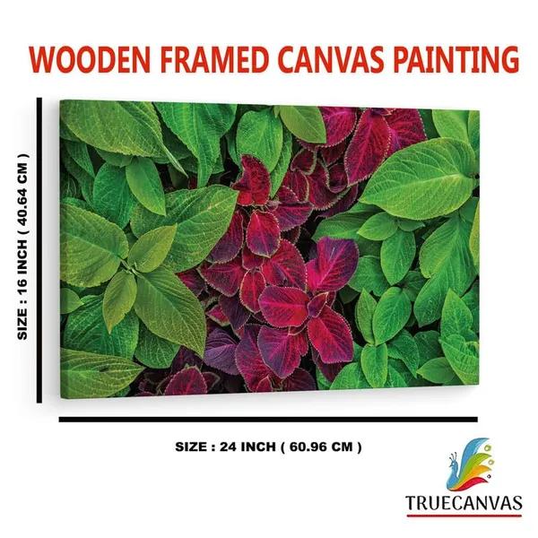 Multicolor_16_X_24_Inch,_Pine_Wood_Framed_Canvas_Paintings_|_For_Home_Decor,_Ready_To_Wall_Hanging,_Premium_Painting_|_For_|_Bedroom,_Living_Room,_Office_Wall_Decoration_|_Wall_Art_Painting,_Ct2312